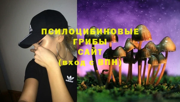 каннабис Алексеевка