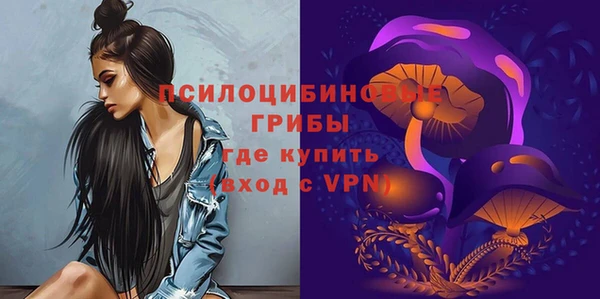 МДПВ Алзамай