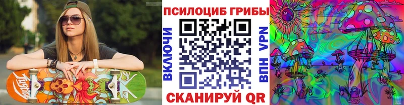 Псилоцибиновые грибы GOLDEN TEACHER  Андреаполь 